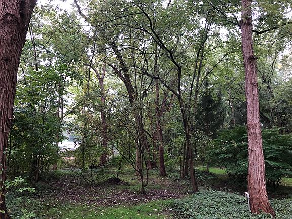 What a backyard ! With an occasional visiting deer