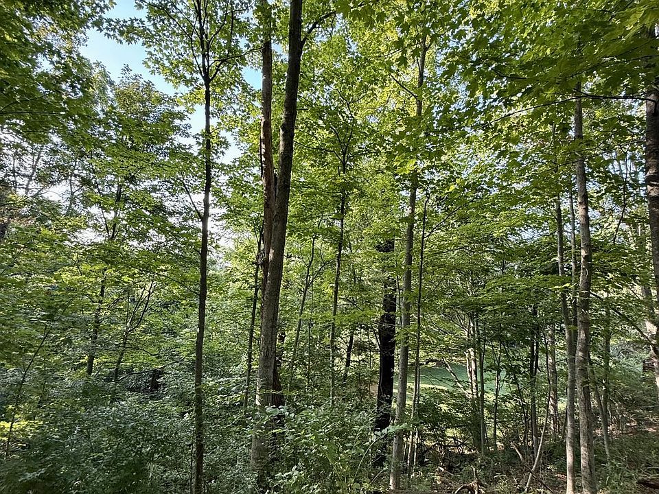 2nd image of Longview Heights Rd