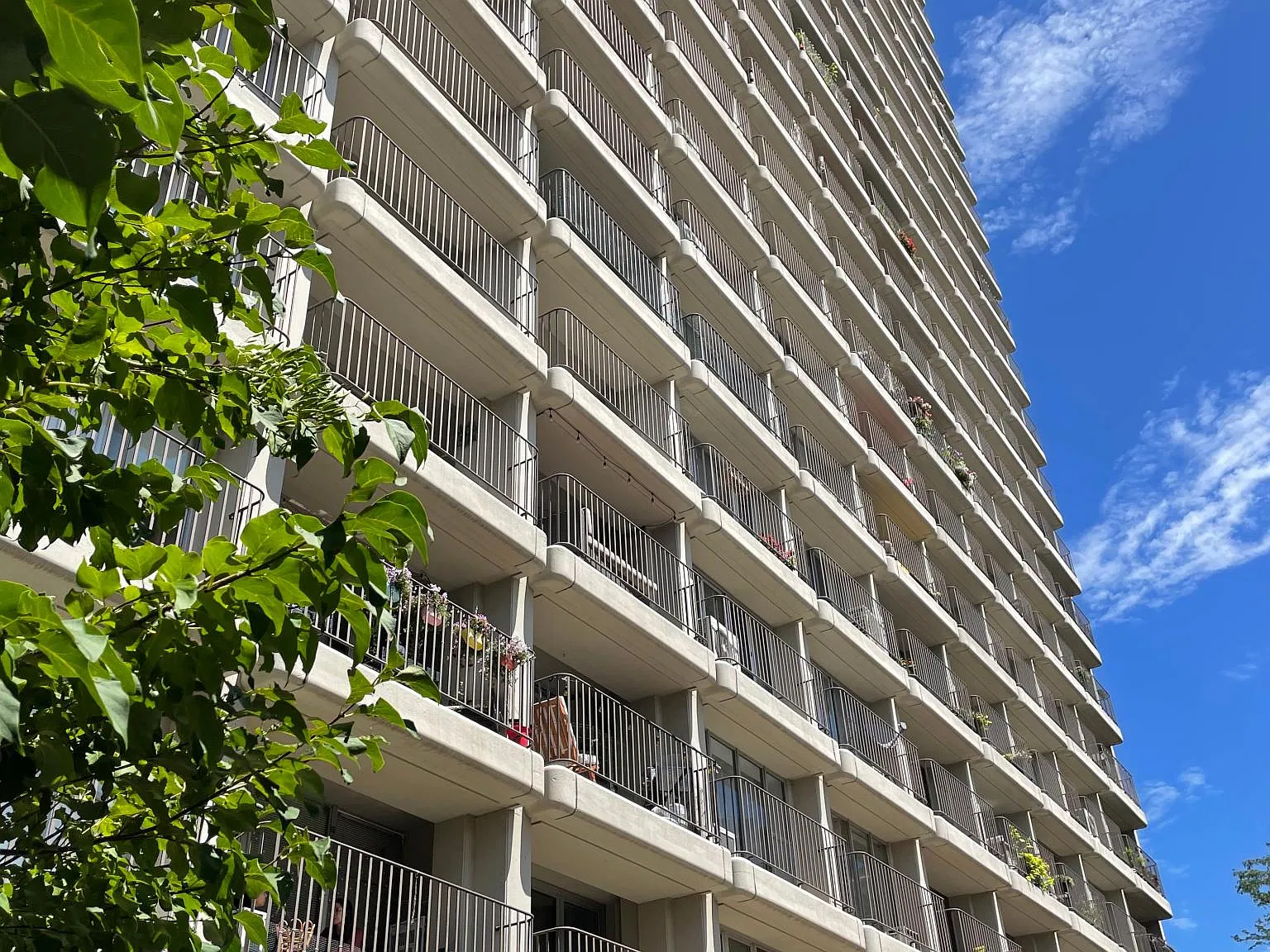 1 bed, 775 sqft, $2,550 — Photo 4