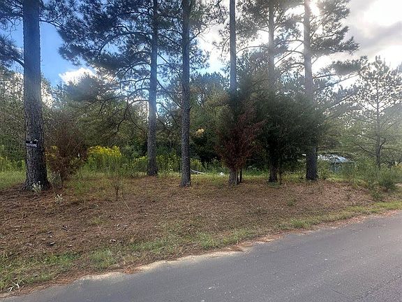 2nd image of 0 N Enoch Grove Rd