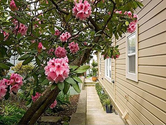 walkway