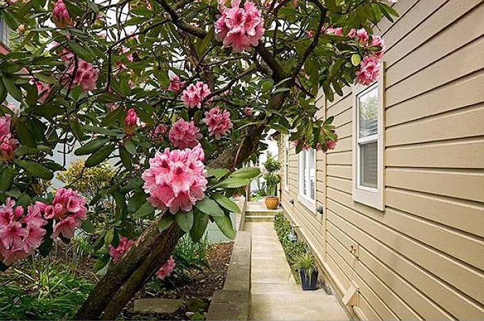 walkway