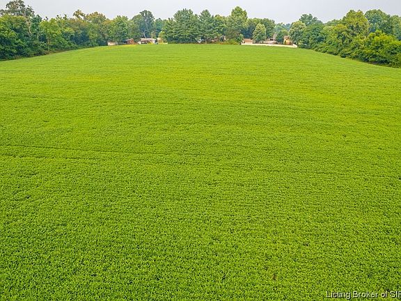 5th image of 2000+ Clifty Drive