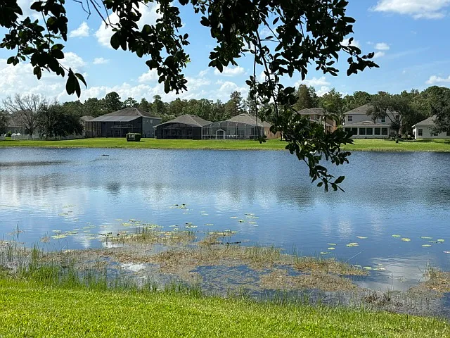 627 Fern Lake Dr — Photo 50