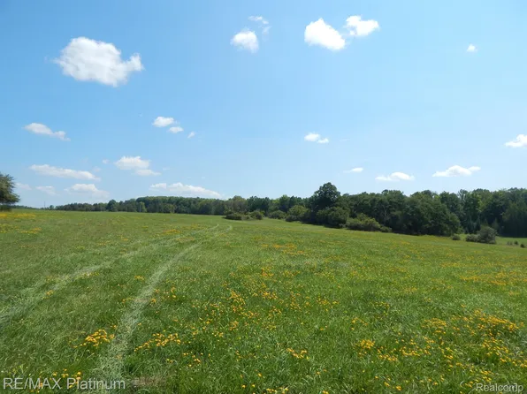 5445 Barkley Ave, Onaway, MI 49765