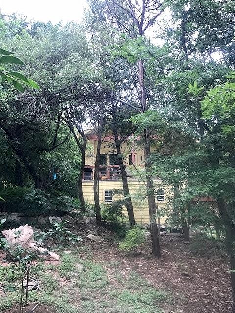 Nestled in the TREES