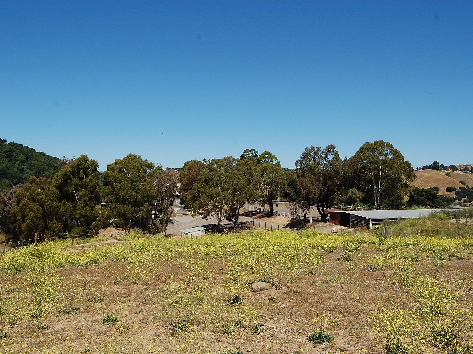 24550 Palomares Rd, Castro Valley, CA 94552 Zillow