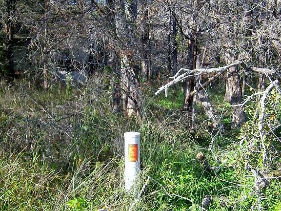 3rd image of 168 Deer Run