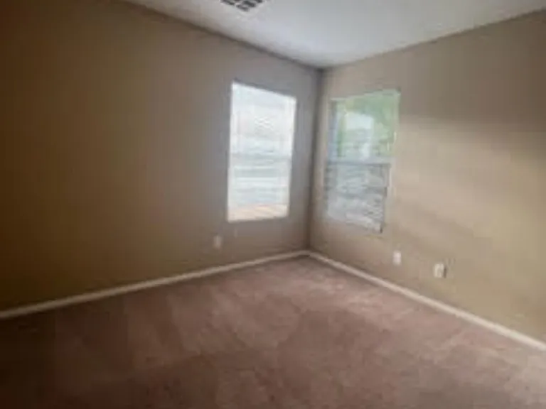10784 Royal Jasmine Ln — Photo 28