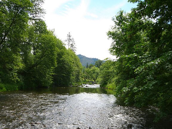 5th image of 11677 Highway 238