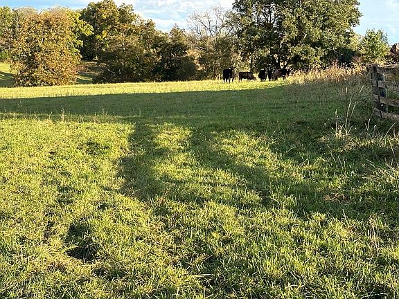 5th image of 3613 Cynthiana Rd