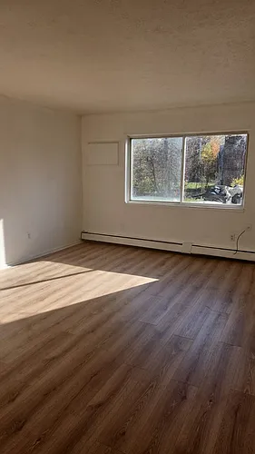 Floor plan 203