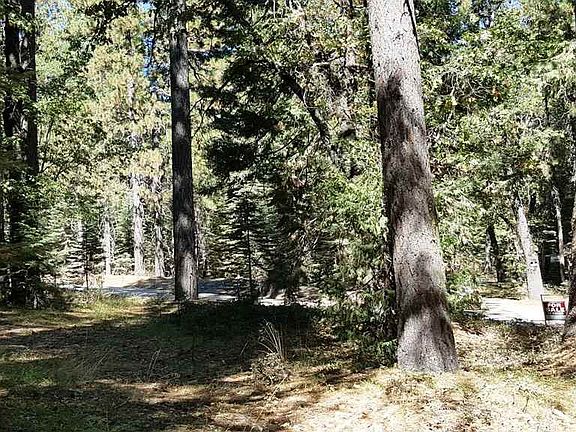 4th image of 3-E Red Fir Dr