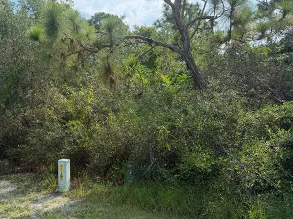 110 Anhinga Trl, Carrabelle, FL 32322