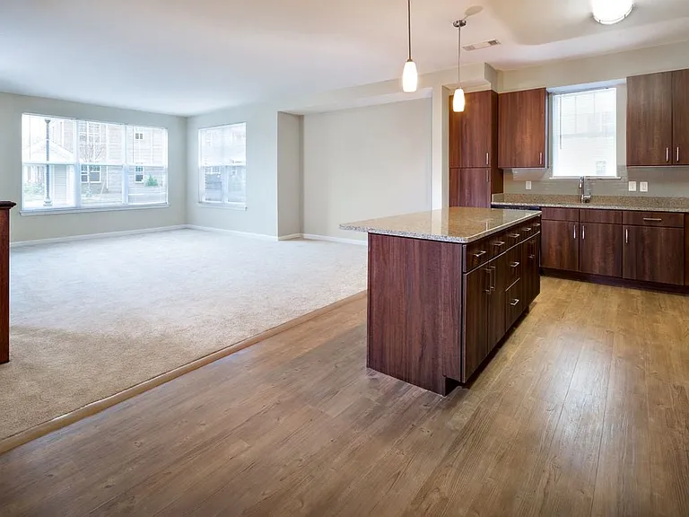 Classic Kitchen and Living Room