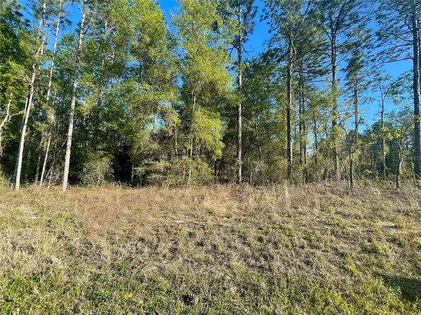 TBD SW 61 PLACE ROAD LOT 1, OCALA, FL 34481
