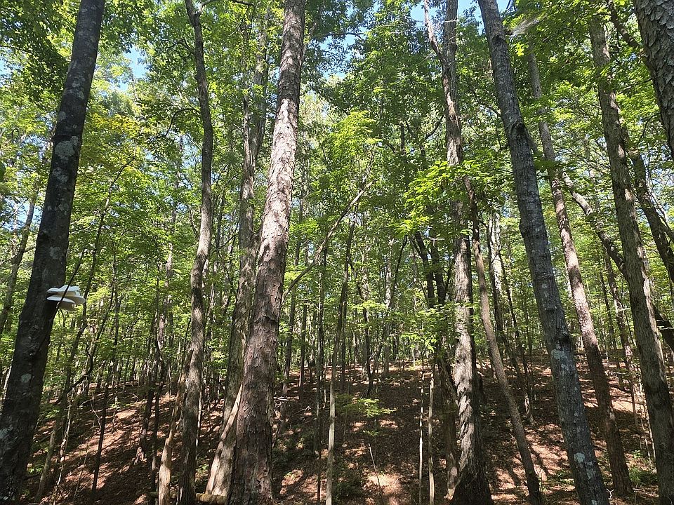 1st image of 0 Browntown Rd