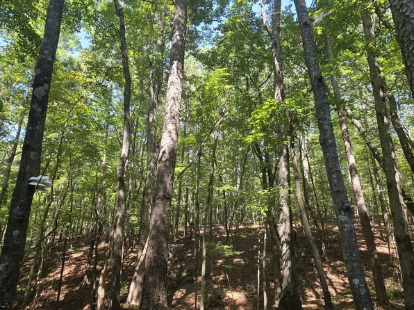 0 Browntown Rd, Rockmart, GA 30153