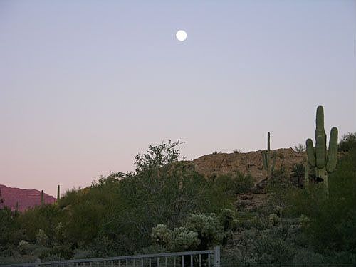 Moon rising over foothills from back yard