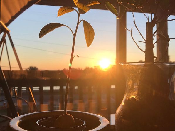 200 Pensacola Beach Rd APT D6