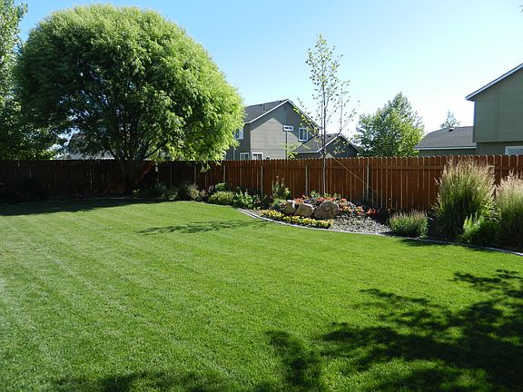 big back yard