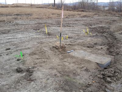 525 Rose Way, Lovelock, NV, 89419