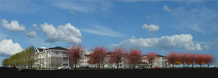 Redwoods at University District — Photo 2