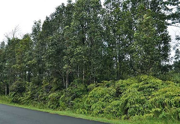 2nd image of 13-1138 Kahukai St Lot 60-A