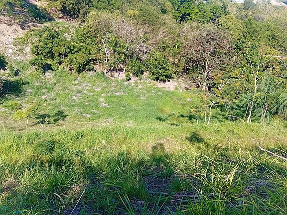 5th image of Solar 1 Road Km .8 Int Bo Cruces Lote #1-412