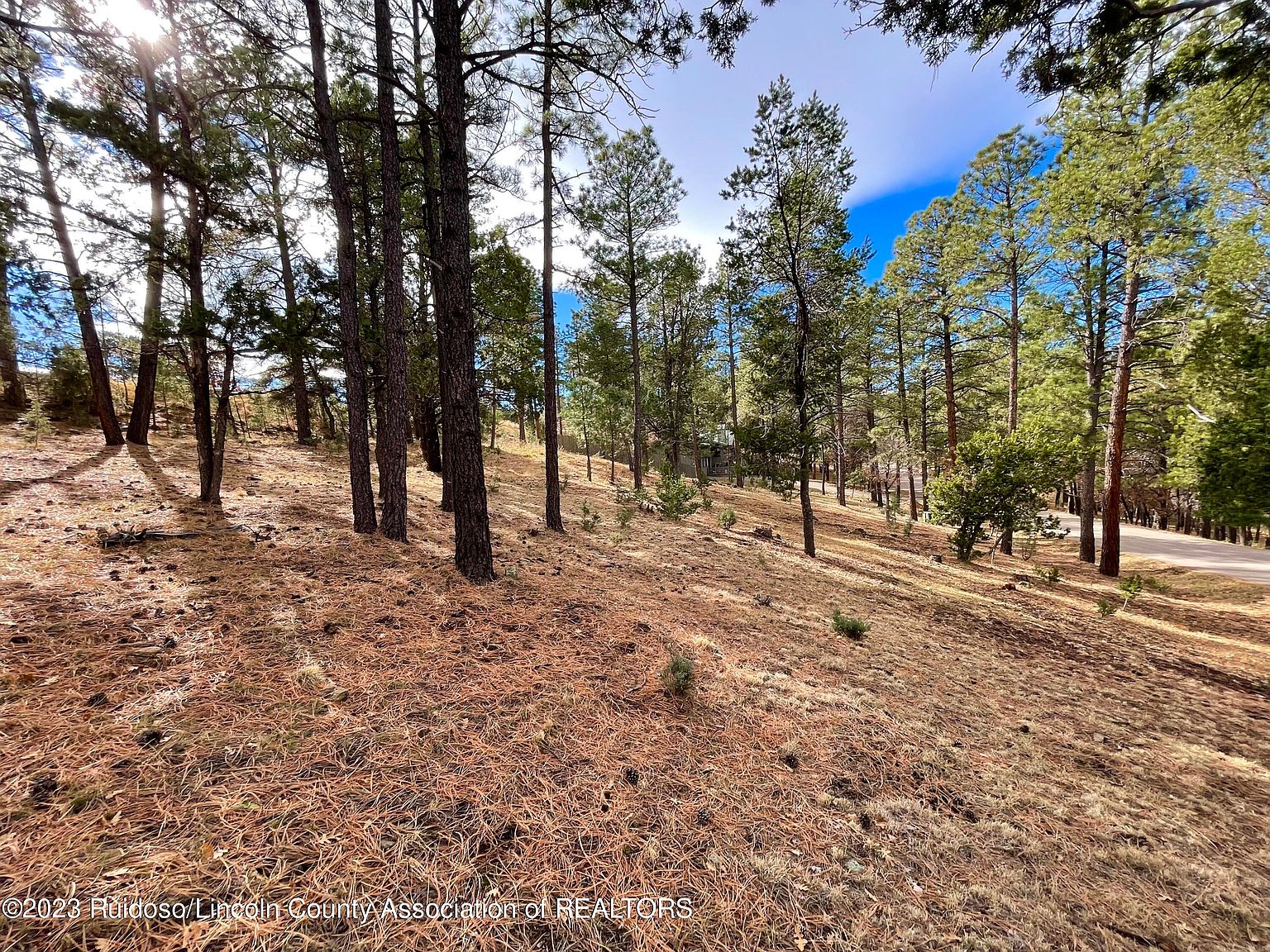 215 Midiron Dr, Alto, NM 88312 | Zillow