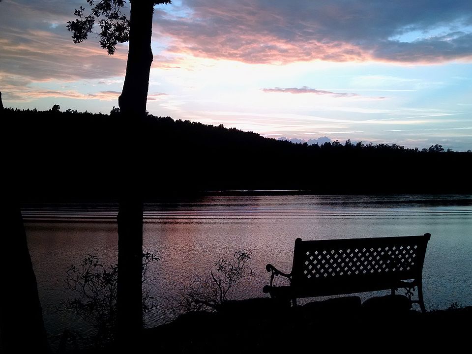 316 Lake Point Ln, Belews Creek, NC 27009 Zillow