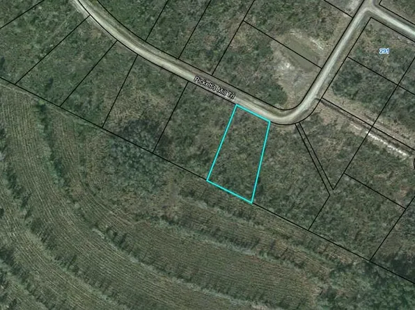 24 Picketts Mill Trl, Waynesville, GA 31566