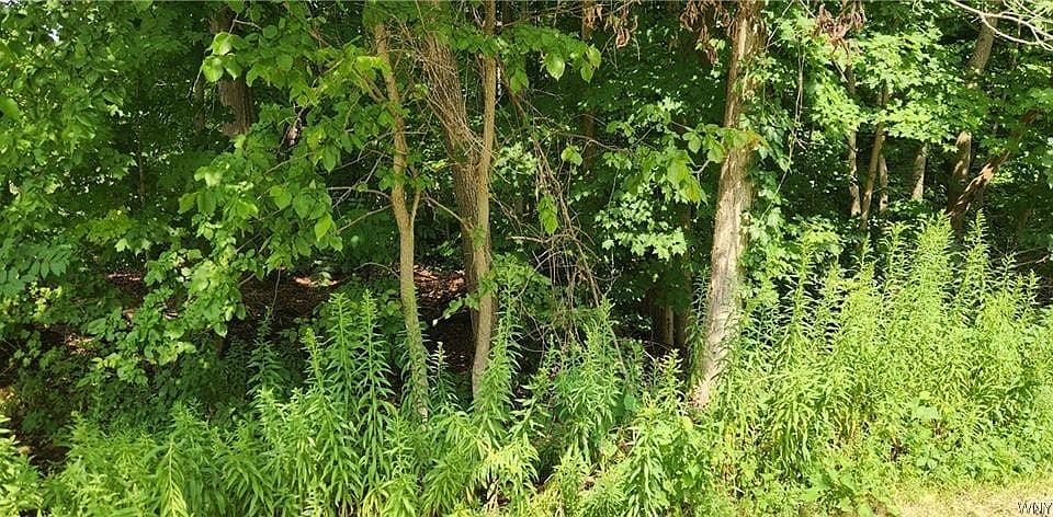 2nd image of V L Boston State Rd