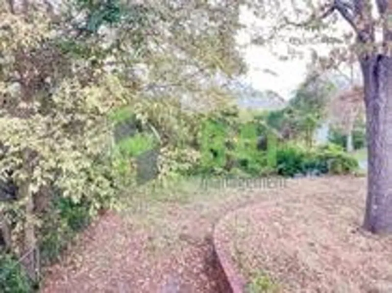 2 bed, 1.0 bath, 963 sqft, $850 — Photo 3