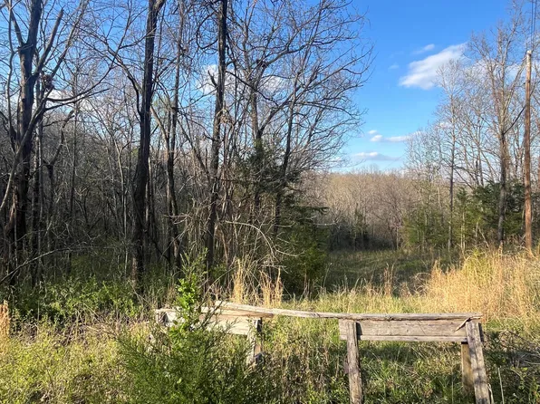 1326 Sassafras Lane, Nixa, MO 65714