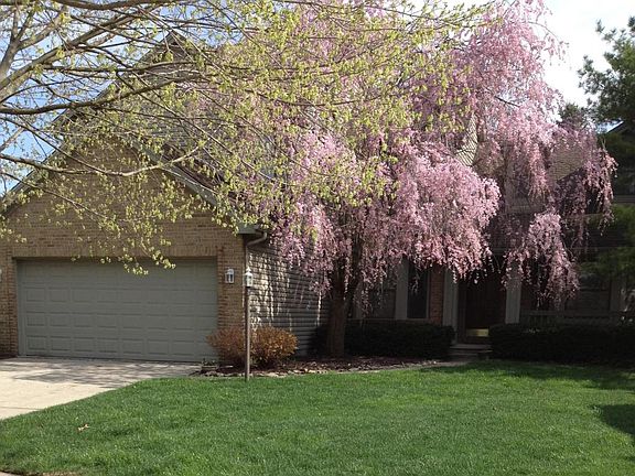 3rd image of 7420 Gardengate Pl