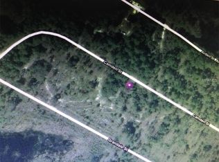 135 Camden St, Georgetown, FL 32139