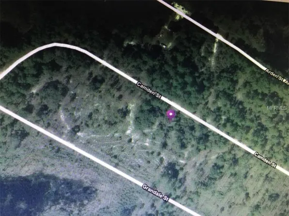135 Camden St, Georgetown, FL 32139