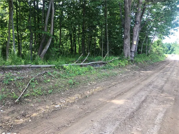 S Ridge Rd, Kingsville, OH 44048