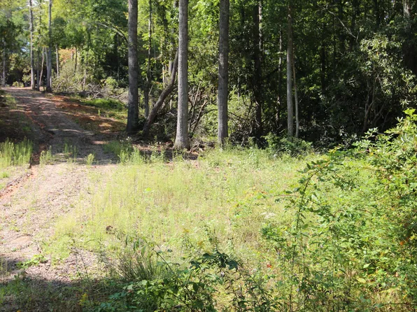 1654 Mining Town Rd, Mountain City, TN 37683