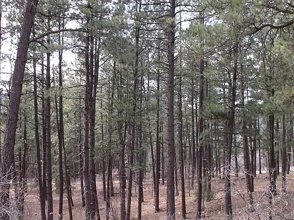 5th image of 17 Pine Top Dr