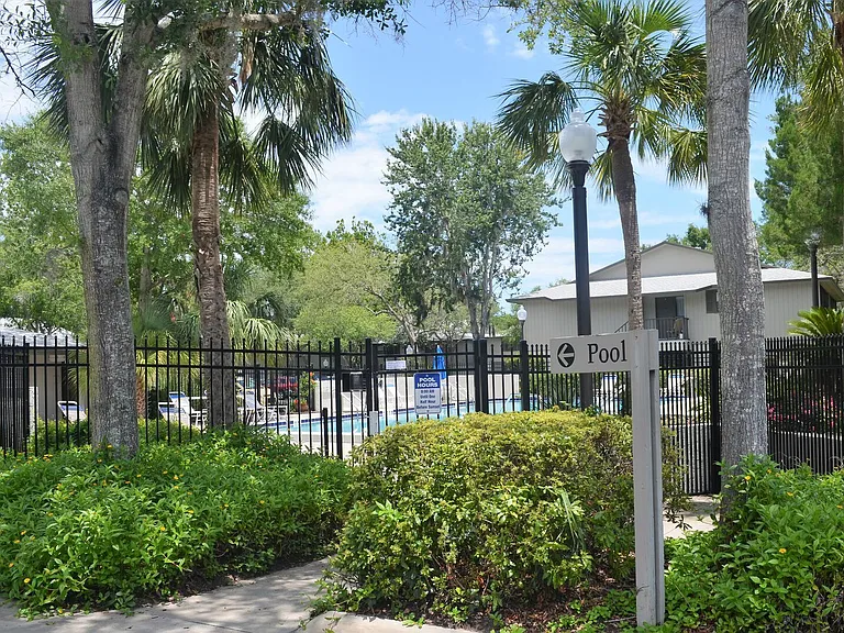 Alcira Ct — Photo 19