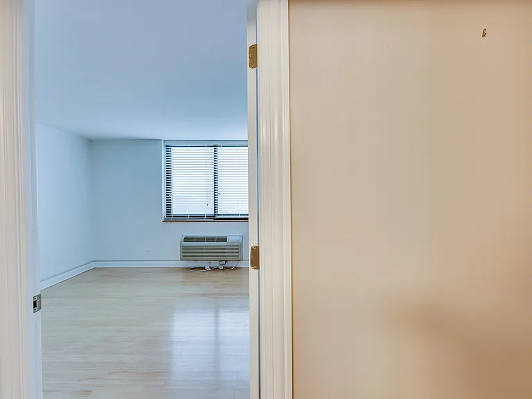 1221 N Dearborn Pkwy #1210S — Photo 12