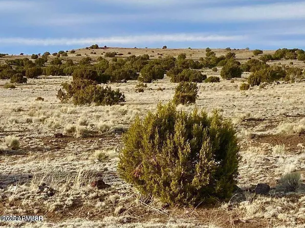 TBD Co Rd 5150 1.22 Acres -- #-, Concho, AZ 85924