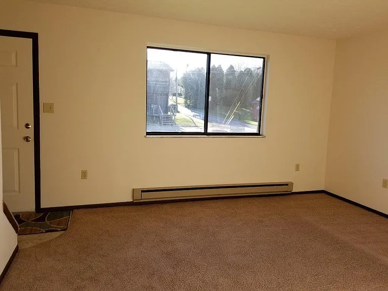 109 Big Tree Dr — Photo 3