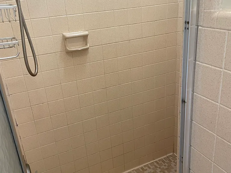 Master Bath Shower