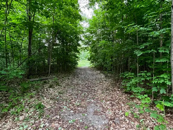 Lewis Rd, Vanderbilt, MI 49795