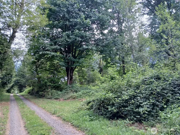 0 Boyd Road, Mossyrock, WA 98564