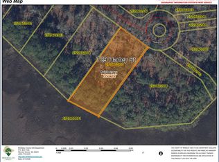 729 Hartey St, Charleston, SC 29492