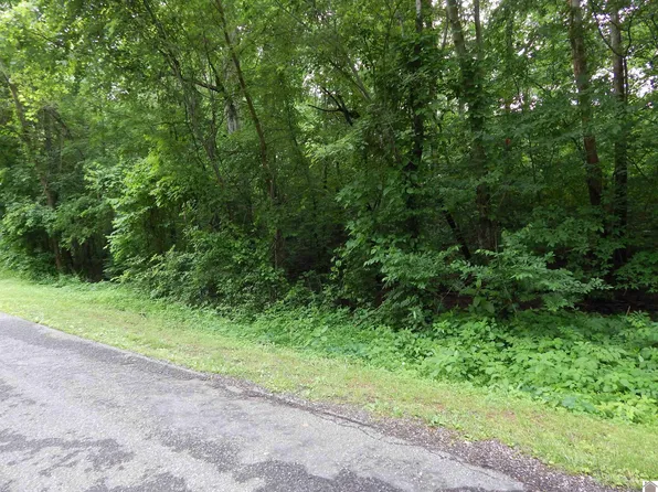 0 Tatumsville Hwy, Benton, KY 42025